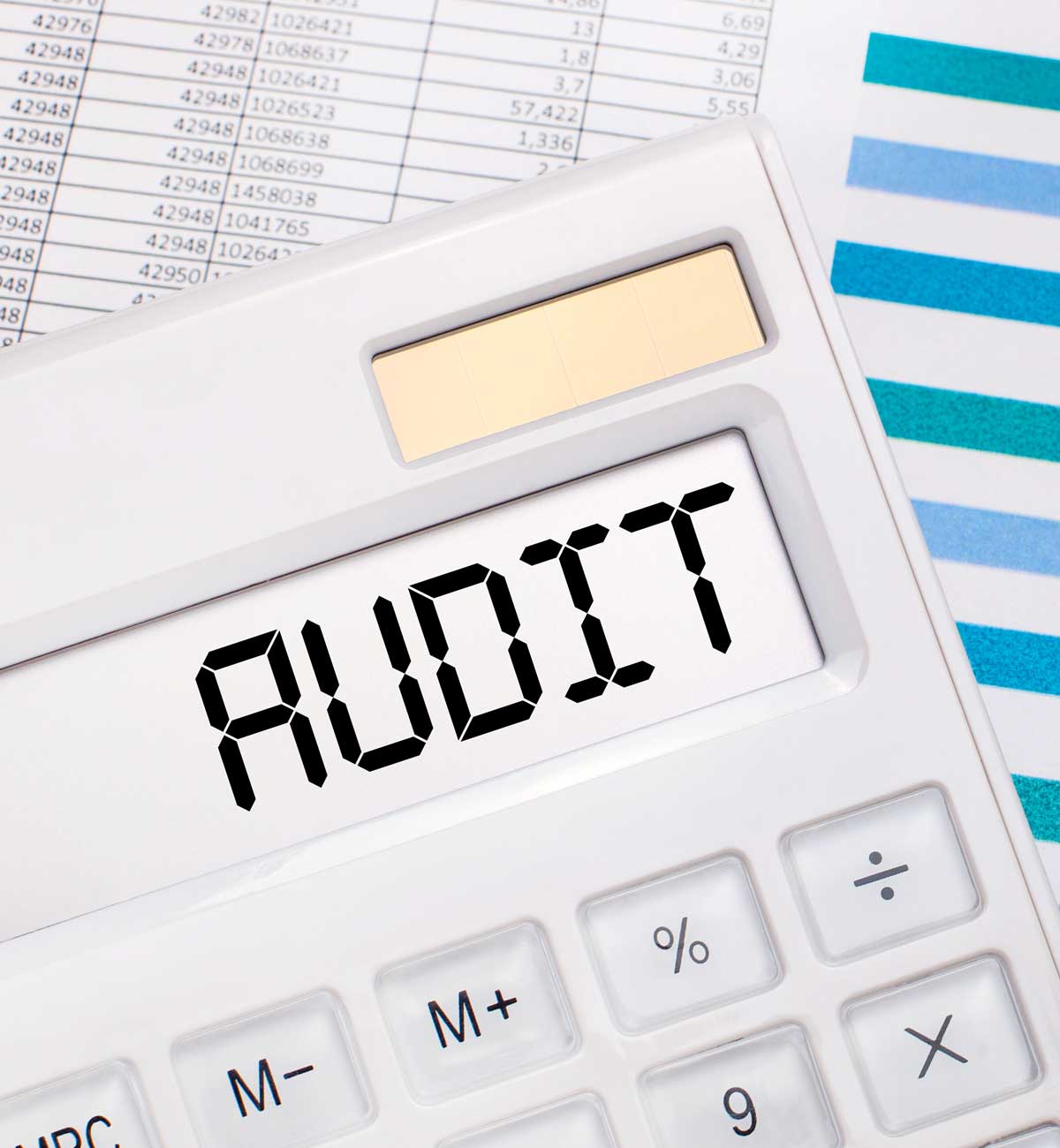 Art der IT Audit Heilbronn Neckarsulm